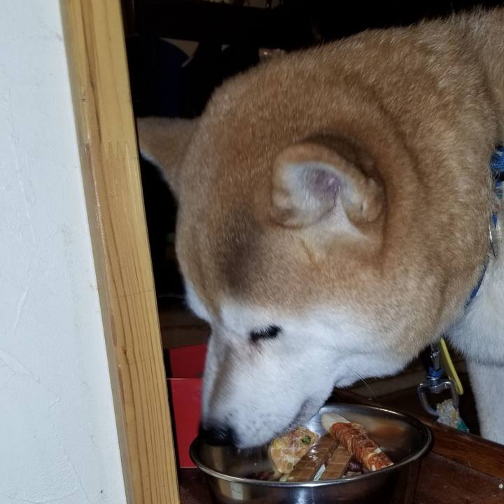 50397ac3 2276 4f21 a831 ae9aa71615b3 1568368999028