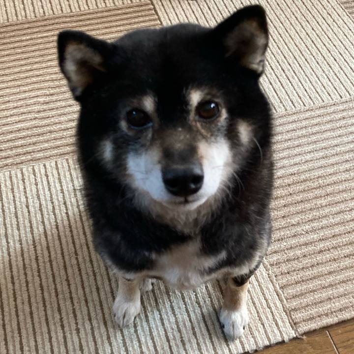 50397c6c 456d 4691 81ef ea5497731c3e 1675245081756