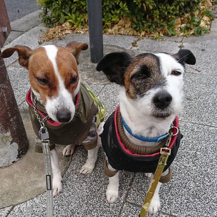 5039c349 3259 4bba bd02 d0e2035b0462 1610407618559