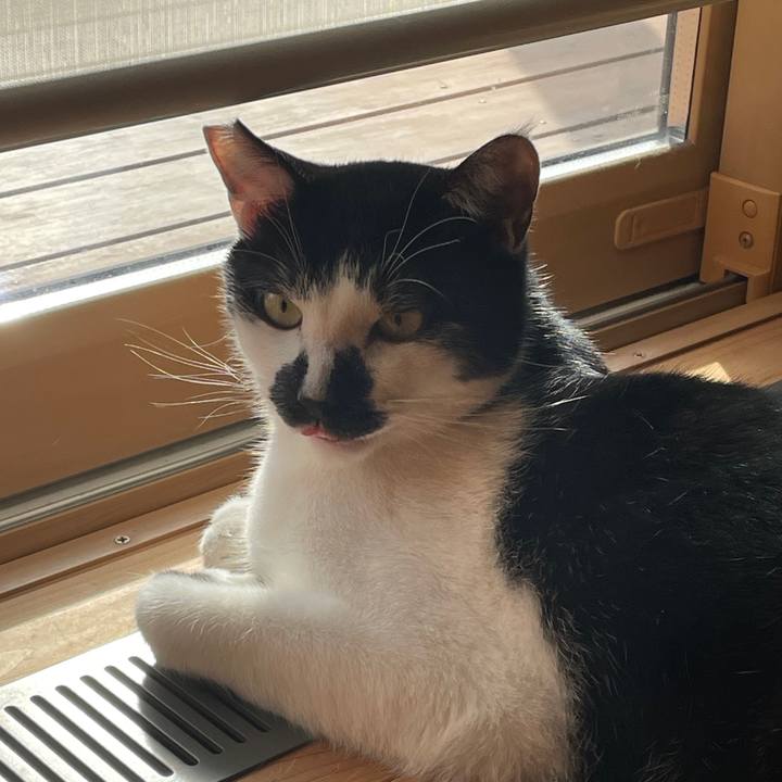 5039d678 33e2 47de 99db 5604698d24a5 1760265493490