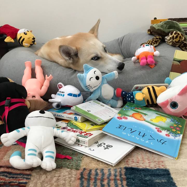 5039fc5f 6fdd 4f2d b6de aede905a1002 1536982836470