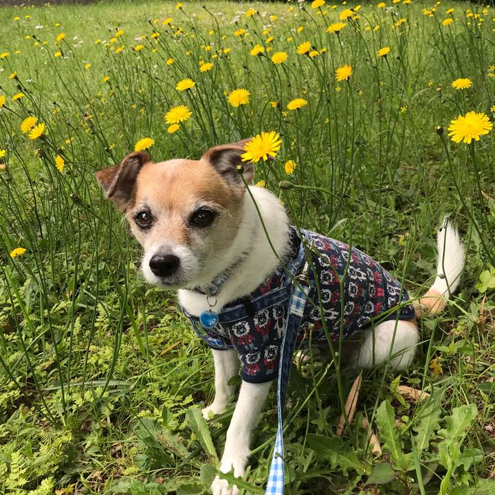 503a0505 addb 4305 9355 5ffc50a6f424 1619326886776