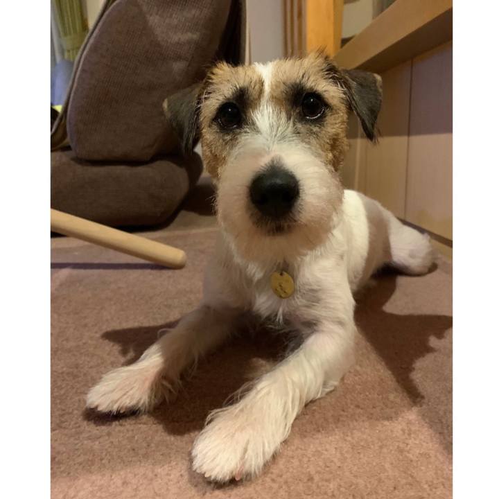 503a0634 9415 4198 bb41 2f0c3e9b91f9 1598624934113