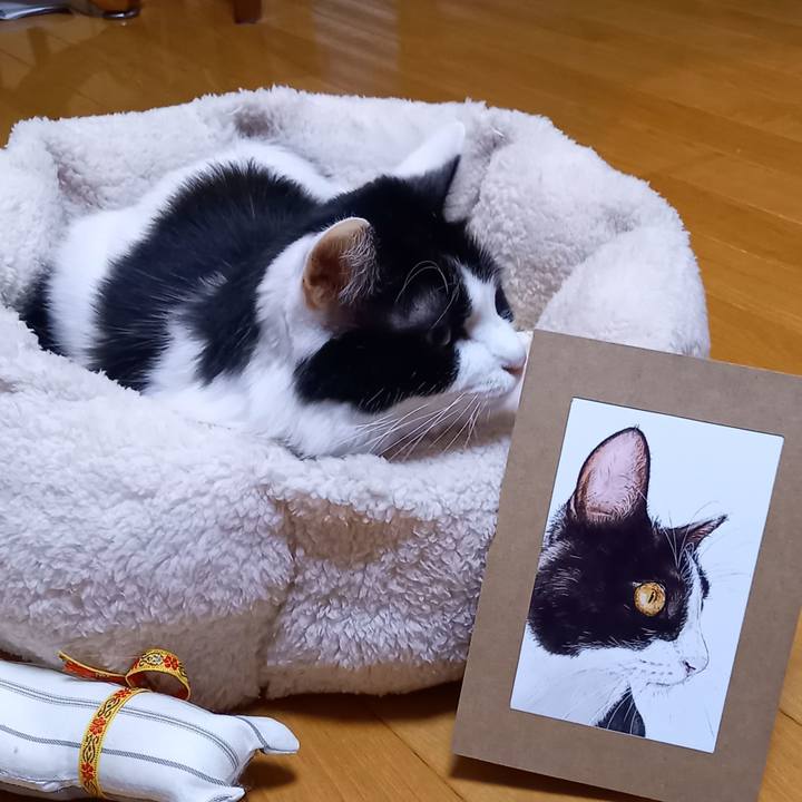 503a1151 9268 4d1b 9aee d6098ede277c 1639914739258