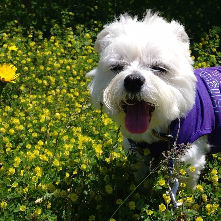 503a2cf6 1ce4 49b3 be3b ee8db2a777c6 1682587115084