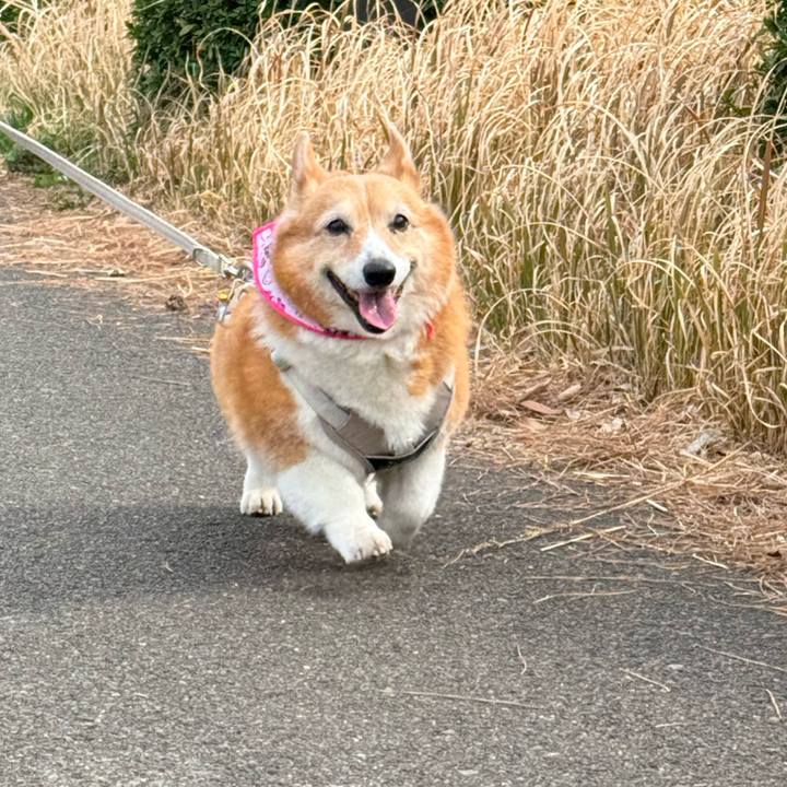 503a57af 0df9 4164 82ab e2d1e114402b 1774166380201