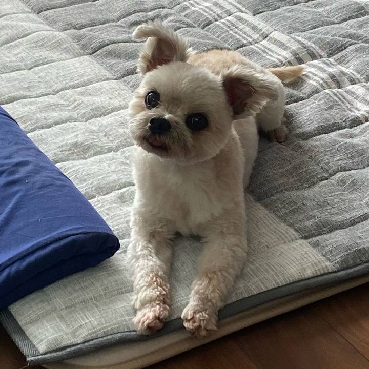 503a7462 74f6 478f 9966 dc952abfc61b 1724506490152