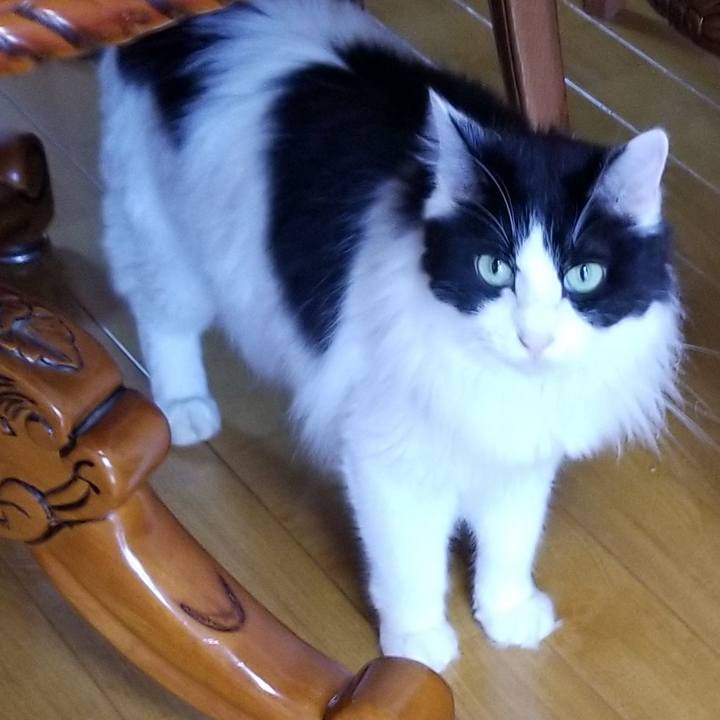 503a9611 bb9b 4963 bfc0 b91928625e41 1567208933773