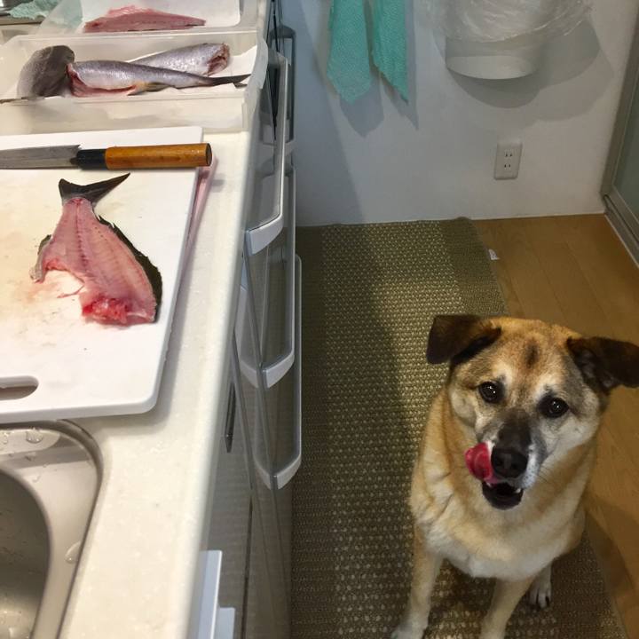 503a9615 d1bb 4741 b50f 25e203fe1aa7 1529045777407