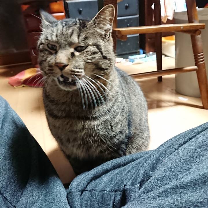 503a9789 516d 4949 90e9 1eb436c4e0cd 1640119208220