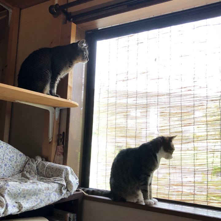 503ab1d1 c5c8 403f 93ab b8f36e71148e 1688513306123