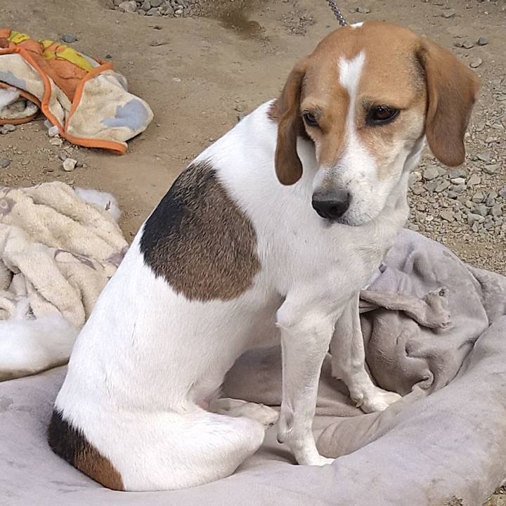 503aba9e 4921 4704 bb55 24e8130d865e 1638631885435