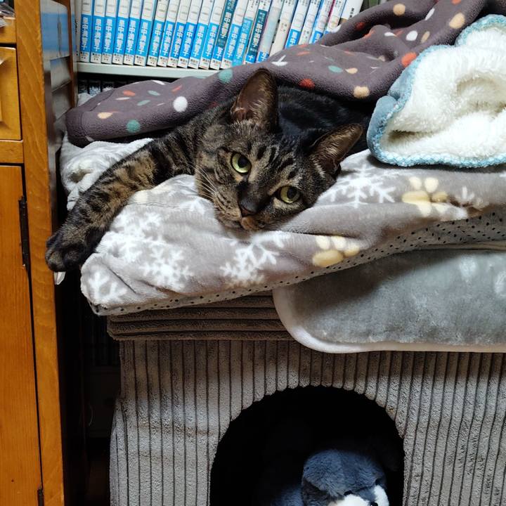 503acd34 4b6a 42f8 9022 93a3ca197e48 1772886947503