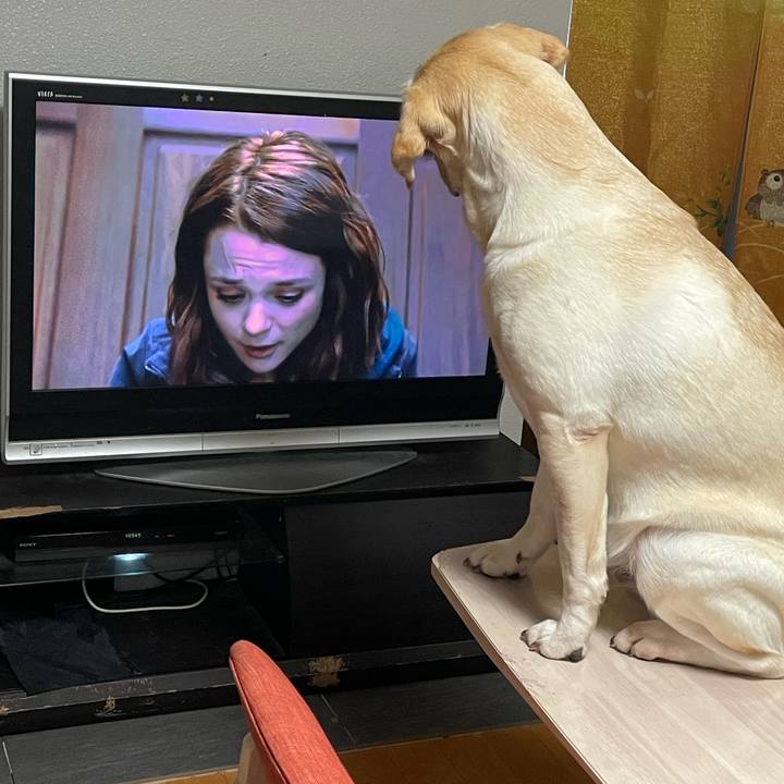 503acd4c cc39 4b6e b79a 5541443e2801 1667650914103