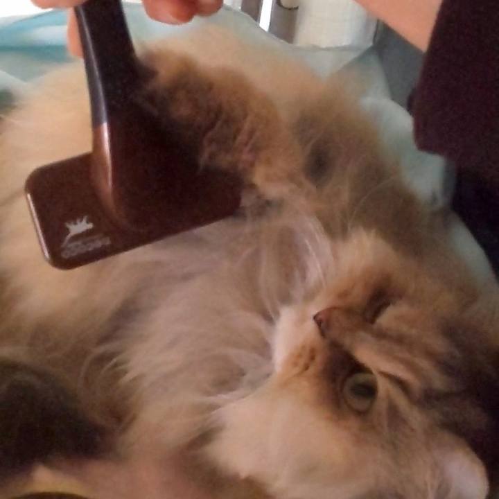 503adb3f d1fa 442c a674 3468c42c5297 1606101446679