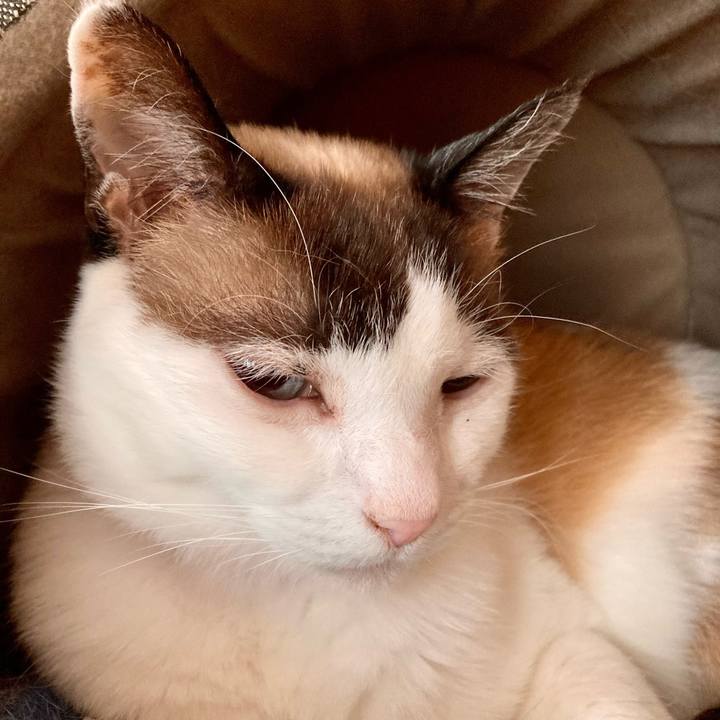 503ae621 5e56 47a8 9736 5625cddba0eb 1644460799095