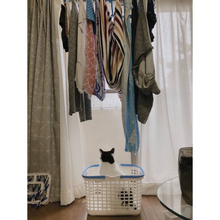 503b4ab1 f198 4b02 9dc2 4b36c9e480ec 1575970459503