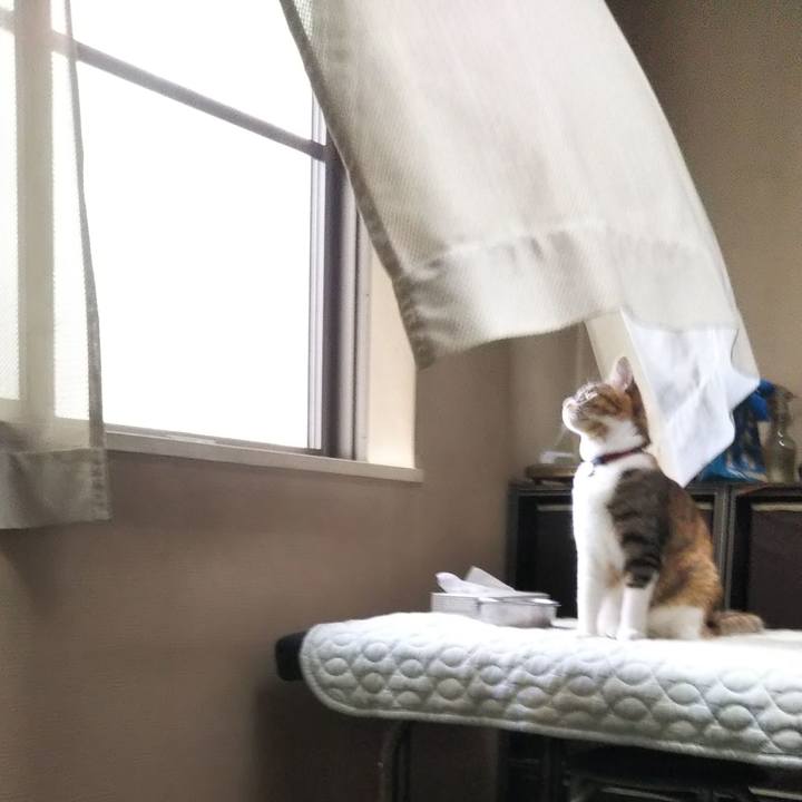 503b5d4e ae74 461a a2df 777b1542135a 1649655842725