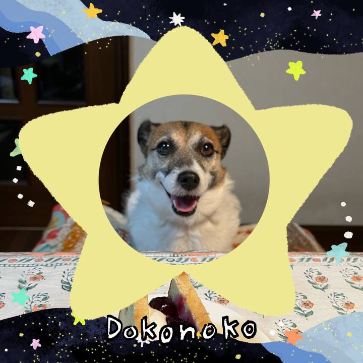 503b6055 57ab 4872 b747 2a960cf9ce61 1720773212210