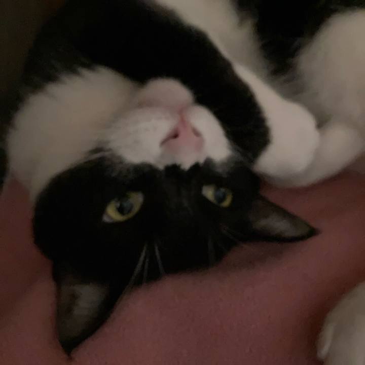 503b6cc5 5b16 47fa 87d5 37b2e1e27058 1650544263964