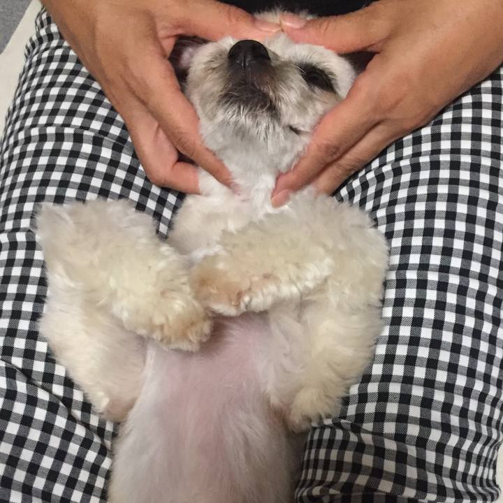 503b6cd4 9f0d 467a 9957 ade6660113db 1565093808027