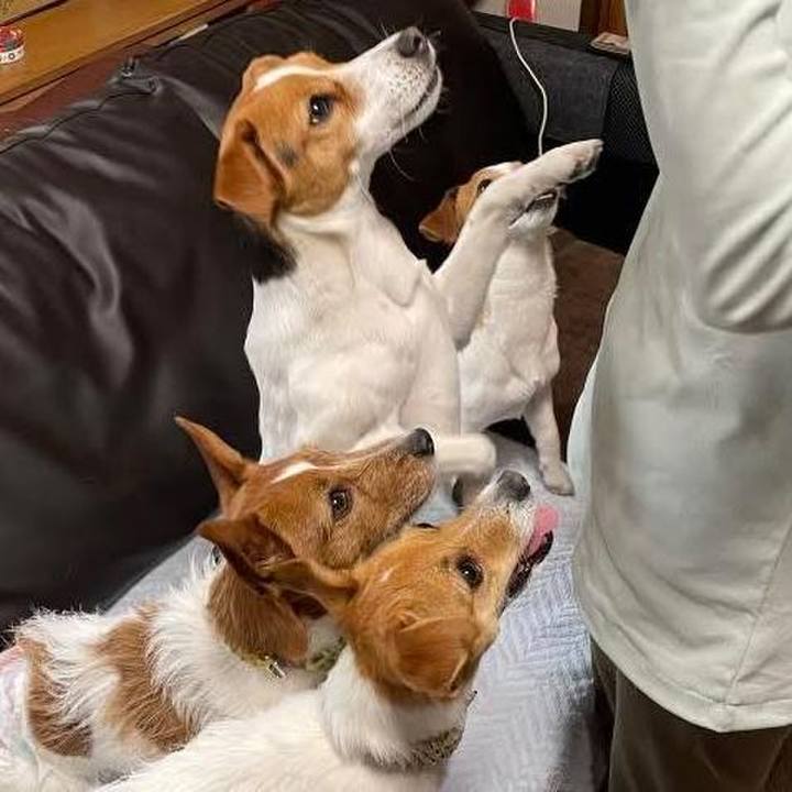 503b78d4 4954 4fb7 a42e d3bc133f8f89 1774426861327