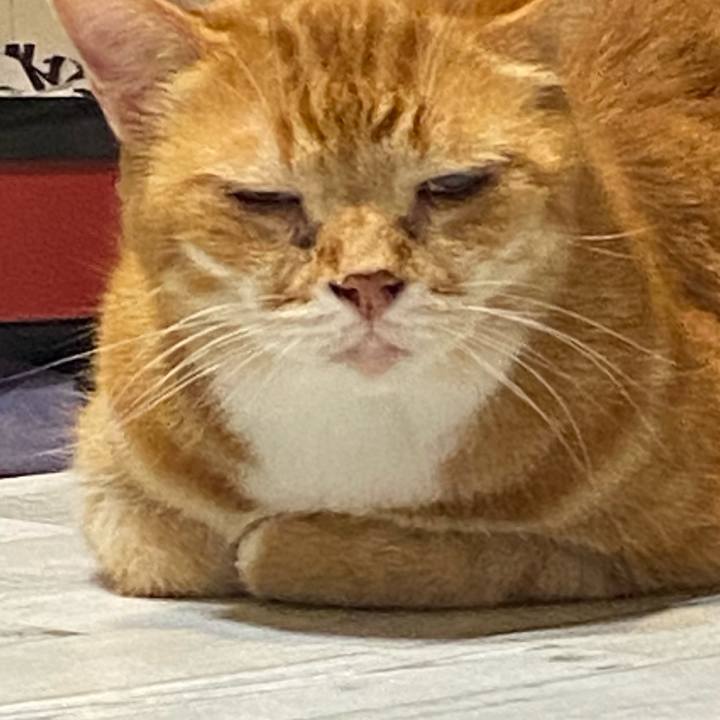 503ba951 dd47 489e a394 6262af25da4d 1627312746521