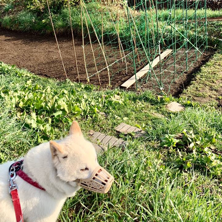 503bf370 010b 49cf acd3 0a5e84cd5e62 1588893679113