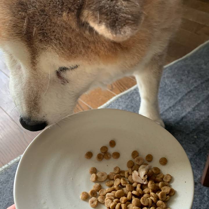 503c0bdd 8c5a 41b2 92f8 71dd3231adf6 1621735674329