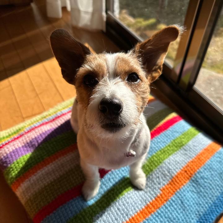 503c166f 5d51 4d75 81b3 1ef82e144c02 1768007852013