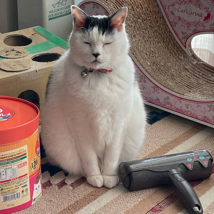 503c23cf 2abd 464f a03e 3a6632fa9bac 1736075792278