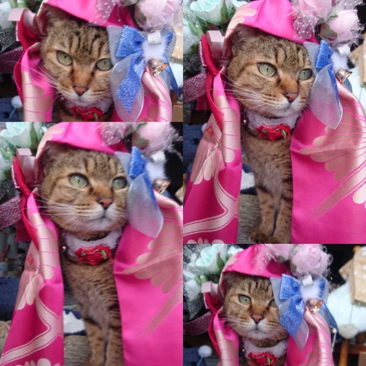 503c42ed efa5 4bb7 9672 a0186e5252b6 1767137302037