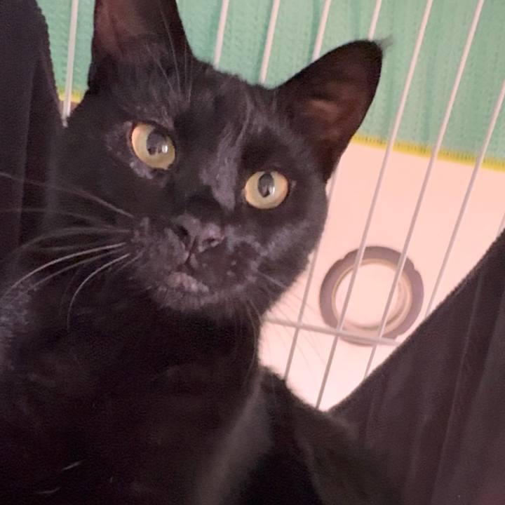 503c5ad9 624d 451e 8636 c8750d9511da 1757637741676