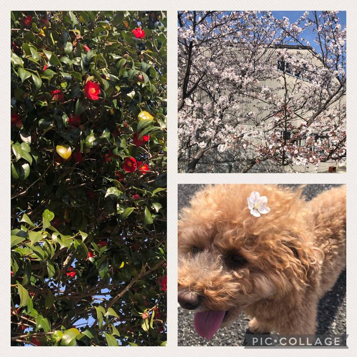 503c7ab7 9309 4a24 80e1 19db1d846564 1616940511194