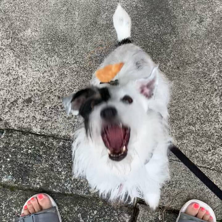 503c8077 9160 4c35 bf62 0c8f85b2e595 1661816903502