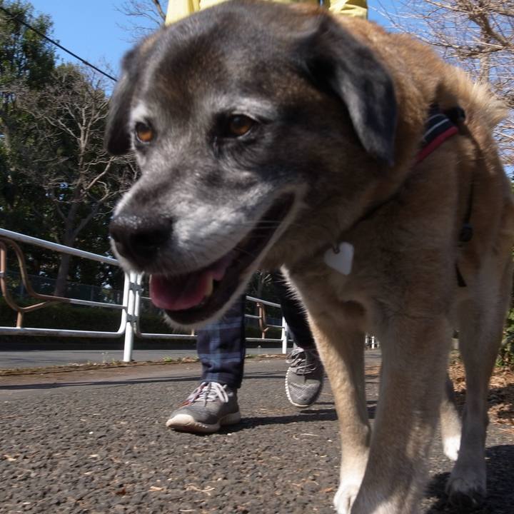 503c8619 0c90 44a6 a767 369dce33f8cf 1600301701154