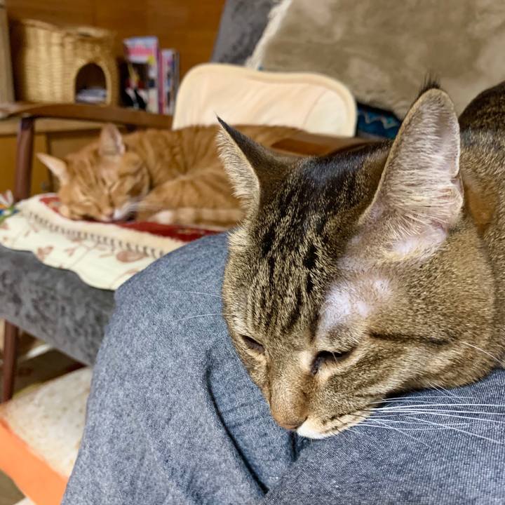 503c8e69 02aa 4a97 8d7b 600a60ad6ff0 1572961203191