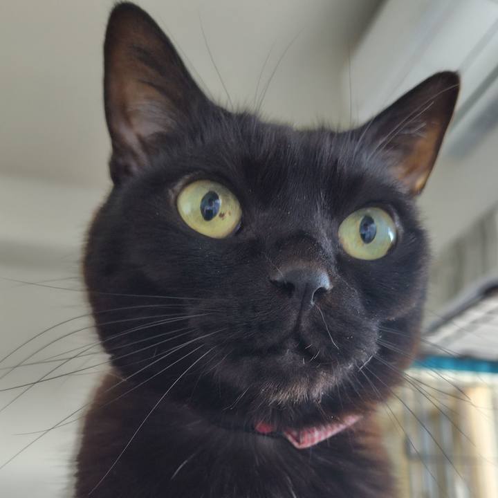 503ca3c8 de58 4aab 99d4 b9fe6be74e19 1745189507899