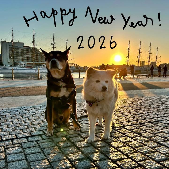 503ccb82 796e 4c31 9796 80fa29766309 1767276724546