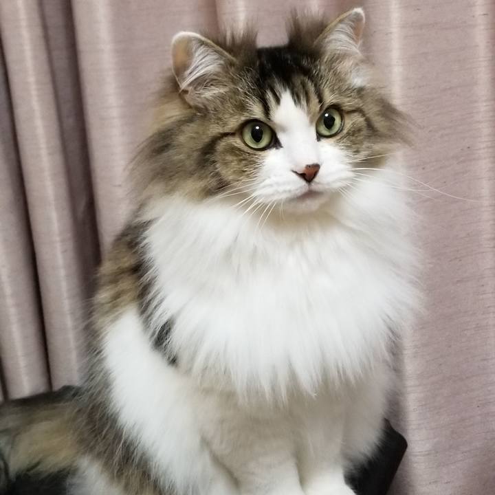 503d1444 1e12 4e8e 952e 8b4acc0c21cf 1550232875412