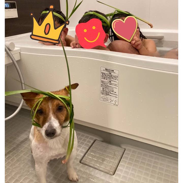 503ddcce 7034 4c53 8e56 22c8e81e01e6 1651747142772