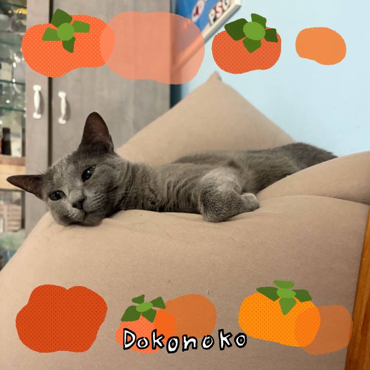 503e0465 0aec 4c6e 803d d28a5bc0ac9e 1761439840610