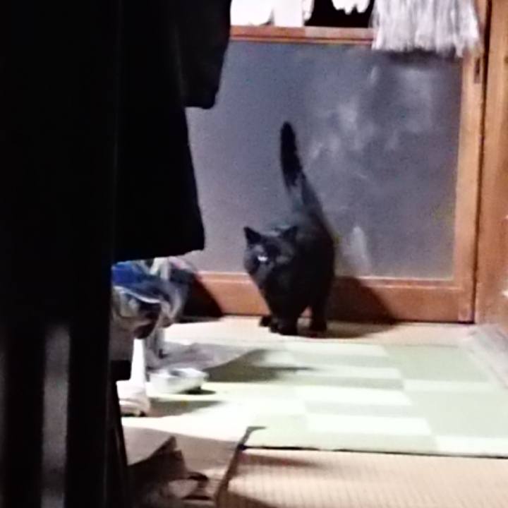 503e0502 602a 4a45 b458 4e86fb091d55 1613294895894