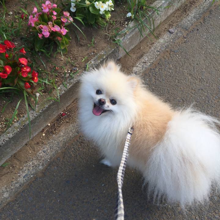 503e0a44 5679 4aba b90f 8bfcfb4f127f 1530390878677