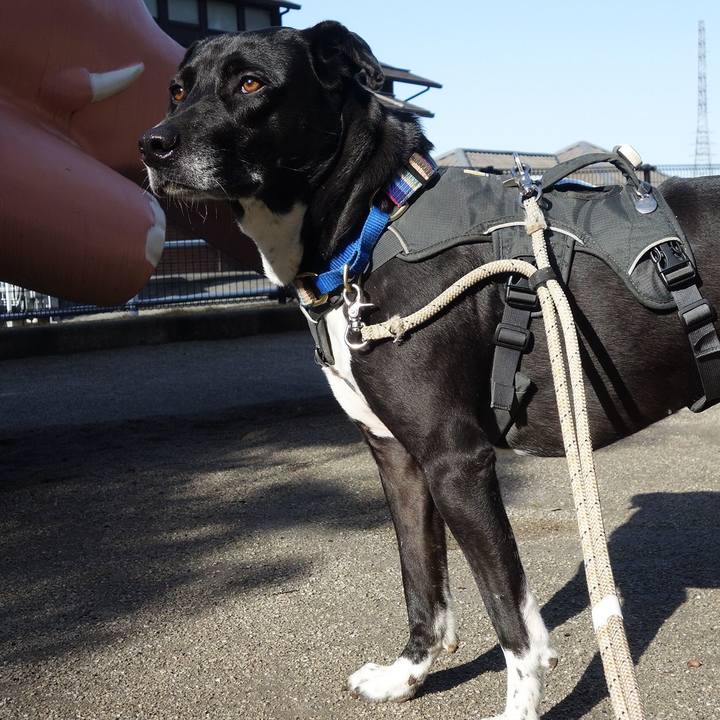 503e1f58 2ce8 40c7 800a 7c155fc14738 1647738348951