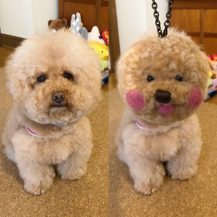 503ea9e4 04ae 4aa7 8edb 5bb58710fcbb 1523671691330