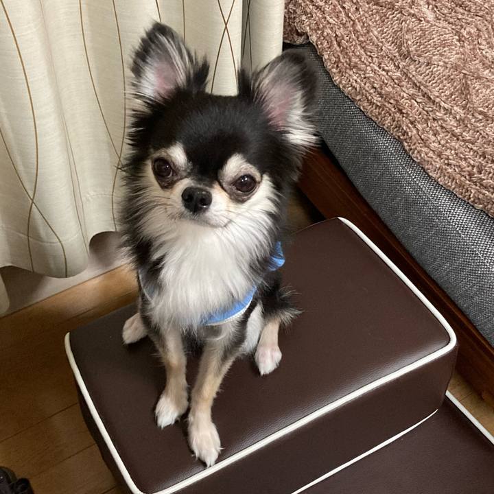 503ee60e dee8 4688 9847 dc0c2c081434 1648390825188