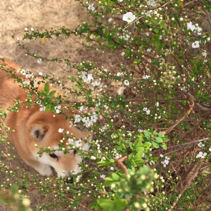 503f158d 3f51 48a3 a606 40d9796e6d69 1521115413708