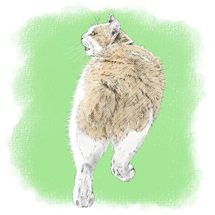 503f23ca aa84 4663 8349 c09d0aefbce4 1585059608920