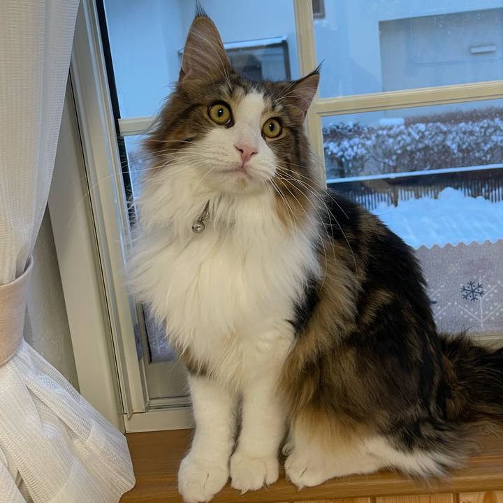 503f2e68 6583 4bfc 96ce 6673e0407adb 1643407701605